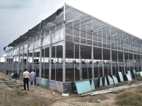 山東濟南溫室案例